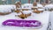 Panorama Purple sled and wooden chairs surrounded by snow during winter in Daybreak