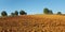 Panorama Recently Plowed Farmland