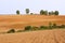 Panorama Recently Plowed Farmland