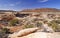 Panorama in Red Rocks Country