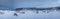 Panorama of reindeers in a winter landscape