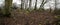 Panorama of remains of megalithic tomb Neu Negentin in Mecklenburg-Vorpommern, Germany