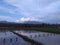 Panorama rice field in the Lombok village