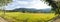 Panorama rice field and mountain.