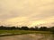 Panorama of ricefield