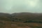 Panorama road after rains in Mountain Foggy Carpathian Mountains peaks on a foggy autumn morning with agriculture cows in field. B