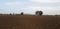 panorama of rural indian dry grassy farm land stretching out under a cloud filled sky with native trees,  gujrat, india