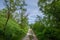 Panorama of a rural landscape with a dirtpath old country road surrounded by green grass and trees in titel, in rural serbia,