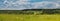 Panorama, Russian landscape, field and forest