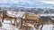 Panorama Rustic wooden wagon beside a huge rock on top of a snowy hill in winter