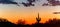 A panorama of a saguaro cactus silhouetted against the glowing red sky of the sunset