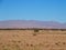 Panorama of sandy desert at high ATLAS MOUNTAINS range landscape in MOROCCO