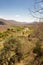 Panorama of Savanna Landscape with River in Swaziland