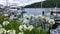 Panorama of Scenic Queen Charlotte sound and fishing boats