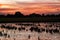 Panorama scenic of sunset silhouette in orange  above agriculture field and lake