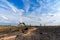 Panorama of a scorched field and pine forest against a blue sky with clouds. forest fire in the summer . yellow remains from the