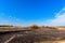 Panorama of a scorched field and pine forest against a blue sky with clouds. forest fire in the summer . yellow trees