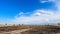 Panorama of a scorched field and pine forest against a blue sky with clouds. forest fire in the summer . yellow trees