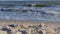Panorama sea shell on the beach among the waves