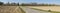 Panorama of several pear orchards