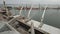 Panorama of ship loading grain crops on bulk freighter via trunk to open cargo holds at silo terminal in seaport