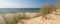 Panorama shot of beach grass in dune landscape with beach and ocean in the background