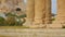 Panorama shot of territory around ancient temple ruins, column pieces on ground