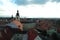 Panorama of Sibiu city centre