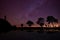 Panorama silhouette tree in africa with sunset.Amazing sunset and sunrise.