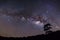 Panorama silhouette of Tree with cloud and Milky Way