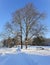 Panorama of a snow-covered city park with long shadows on a sunny morning in Riga