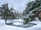 Panorama of a snow-covered park with tall pine trees snowy cloudy day in the Mezaparks district, Riga