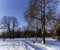 Panorama of a snow-covered park with tall trees snowy cloudy day in the Mezaparks district, Riga