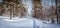 Panorama of snowy woods, road, Russia, Ural