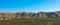 Panorama Spanish landscape- mountain and olive tree