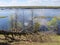 panorama spring flood fields flooded with water trees with young greenery on a hillock