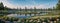 panorama of spring lake and forest wetland. AI generated