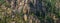 Panorama of a steep mountainside of sandstone cliffs with pine trees clinging to them