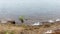 Panorama stone the shores of the North river with rocks grass