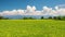 Panorama on stunning landscape and lush green rice fields in Sulawesi, Indonesia. Blue sky and white clouds gathering in the mount