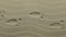 Panorama. Stylised human footprints. Imprint of human footprints