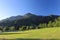 Panorama of the summer Alpine slopes covered with a green grass and the woods.