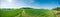 Panorama of summer green field. European rural view. Beautiful landscape of wheat field and green grass with stunning blue sky and