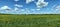 Panorama of sunflowers field under white clouds