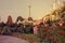 Panorama sunsetting view in miracle garden