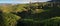 Panorama of tea plantations