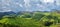 Panorama of tea plantations