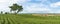 Panorama tea tree farm