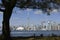 Panorama of Toronto skyline over lake Ontario bellow the tree on sunny day