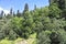 Panorama tourism in the summer. Blue sky and trees